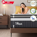 14 Inch Queen Mattress in a Box, Hybrid Memory Foam & Pocket Spring Mattress, Breathable Fabric, Motion Isolation, Medium Firm with Zoned Pressure Relief, Edge Support